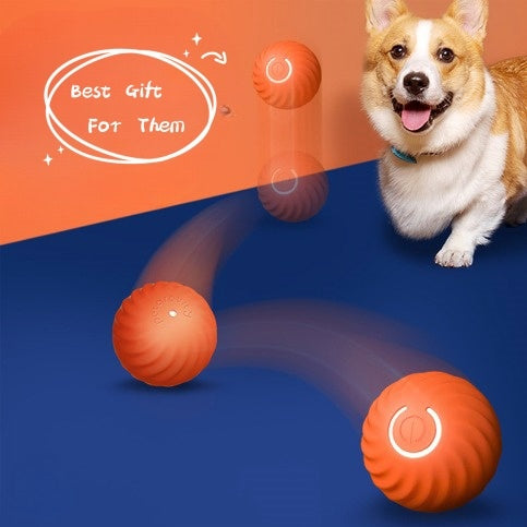 Why Every Dog Needs an Interactive Toy: A Vet’s Perspective
